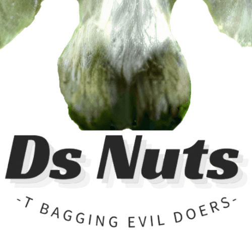 DsNuts Logo